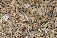 biomass boilers Llandenny