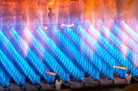 Llandenny gas fired boilers